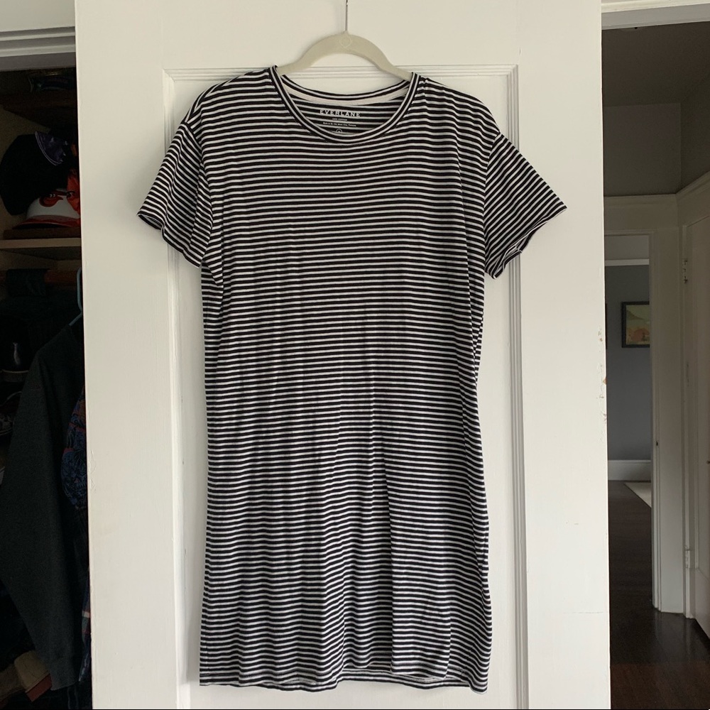 Everlane Striped T-Shirt Dress